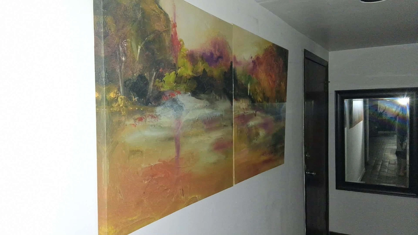 Various Painting and Mirrors all Negotiable - photo 2