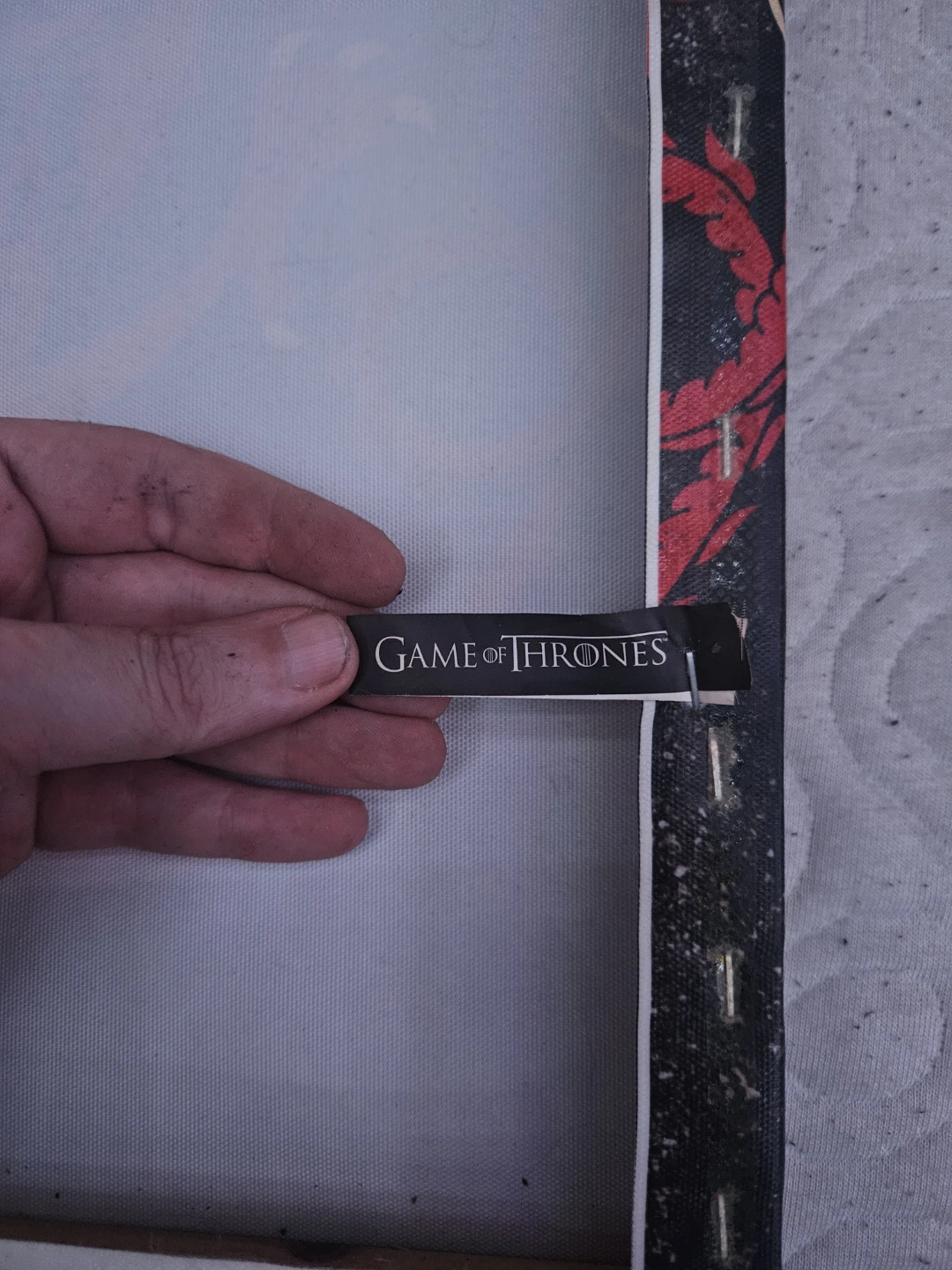 Game of Thrones Fire & Blood Targaryen Canvas Art - photo 2