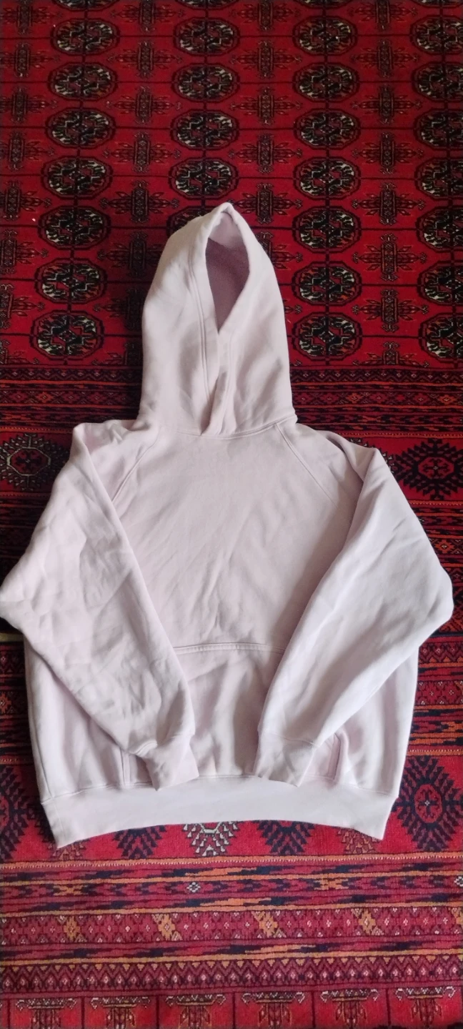 Aritzia Sweatfleece Hoodie in Cupid Pink