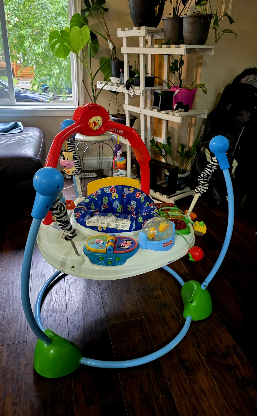 Fisher-Price Jumperoo