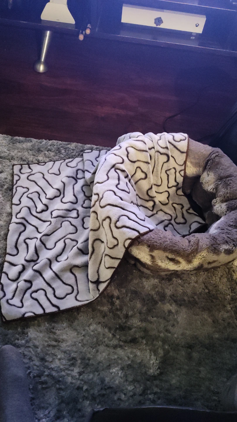 Pet Carrier Backpack and Bedding Set - photo 4