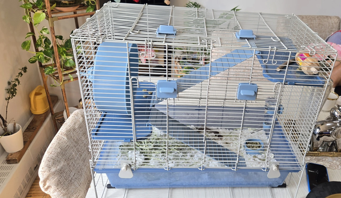 Multi-level Small Animal Cage with Wheel and Accessories