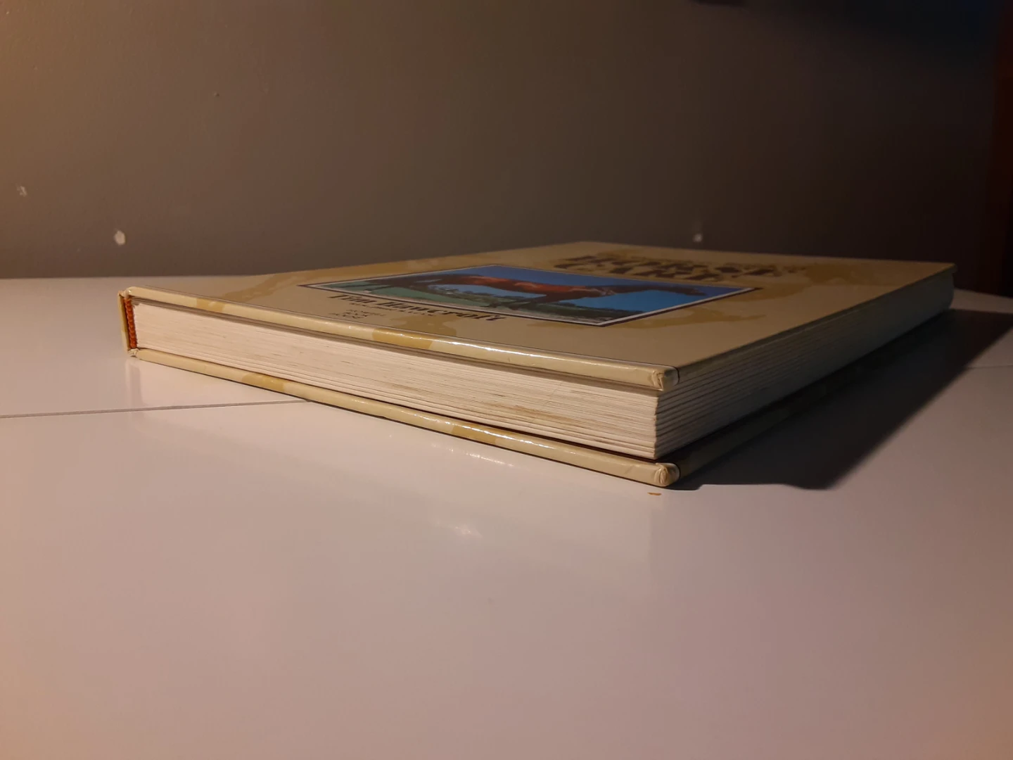 The Complete Book of Horse Care - photo 3