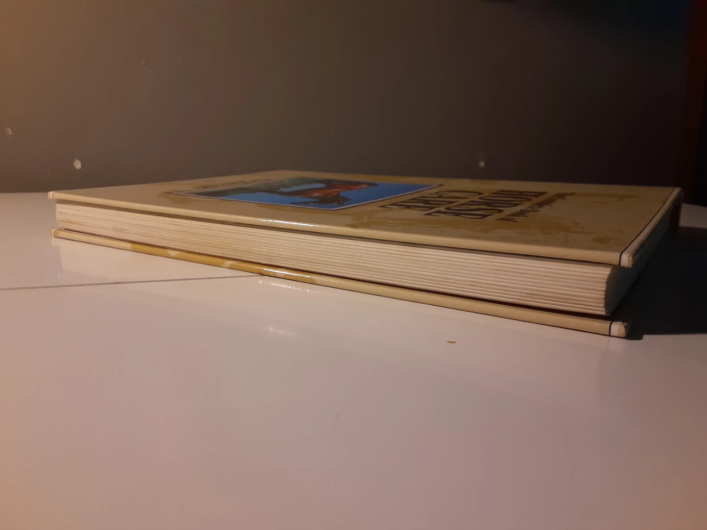 The Complete Book of Horse Care - photo 4