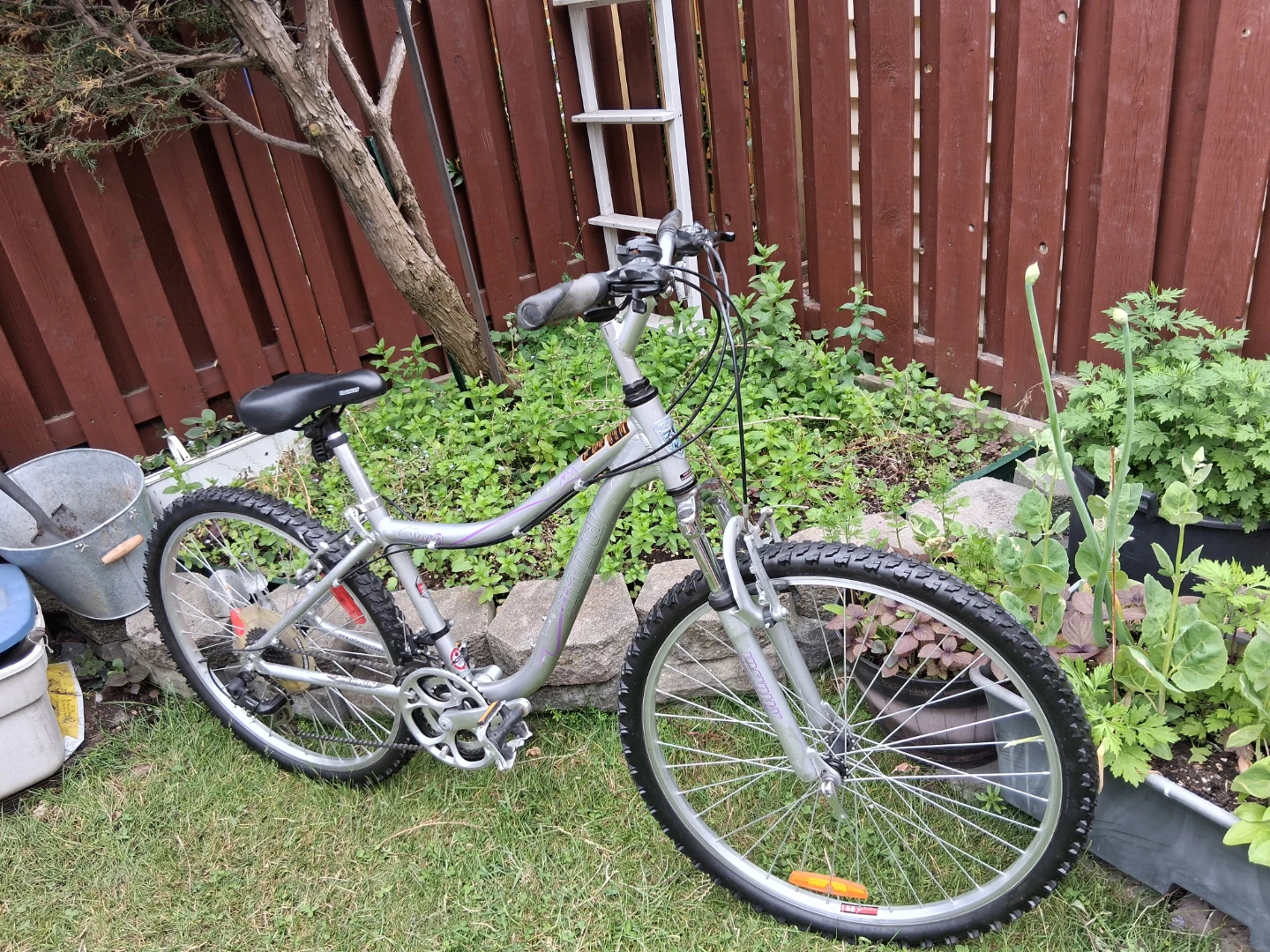 26 " Infinity Silver Mountain Bike tune up ready to ride
