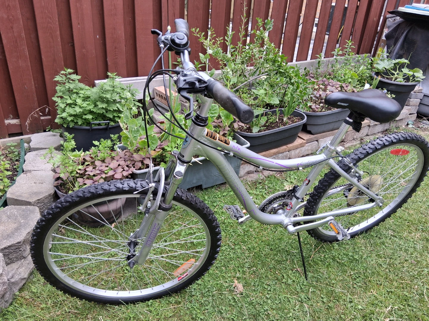 26 " Infinity Silver Mountain Bike tune up ready to ride - photo 3