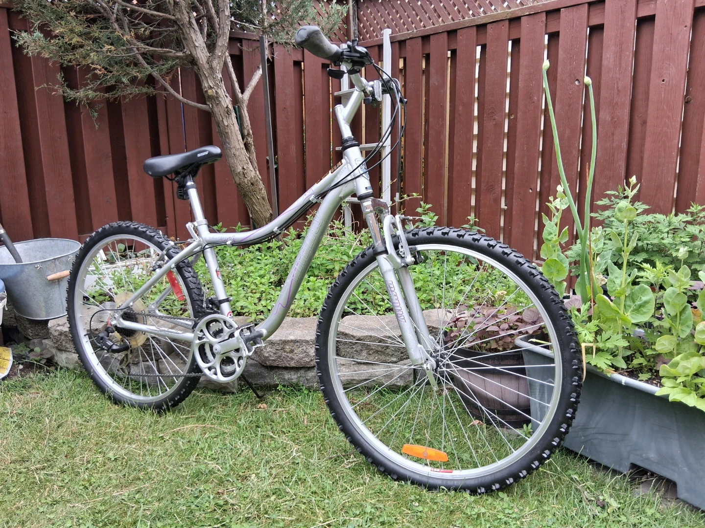 26 " Infinity Silver Mountain Bike tune up ready to ride - photo 4