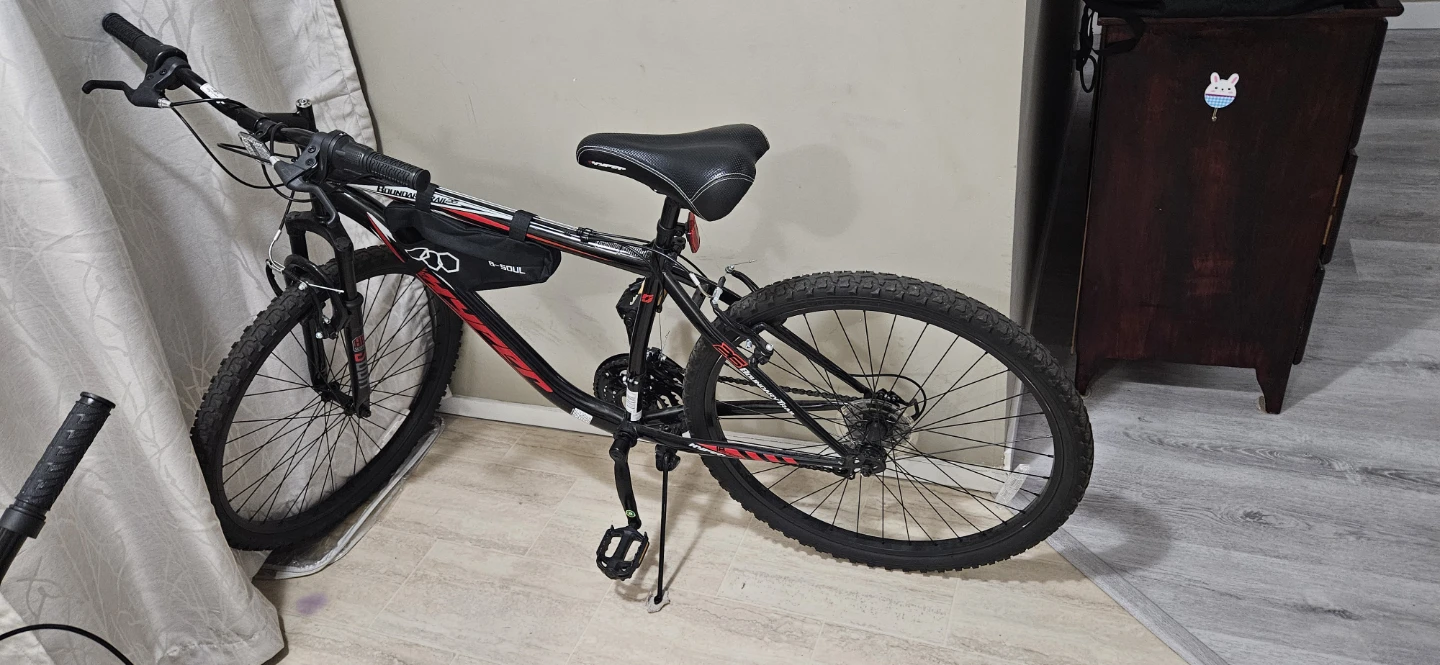 Mountain Bike