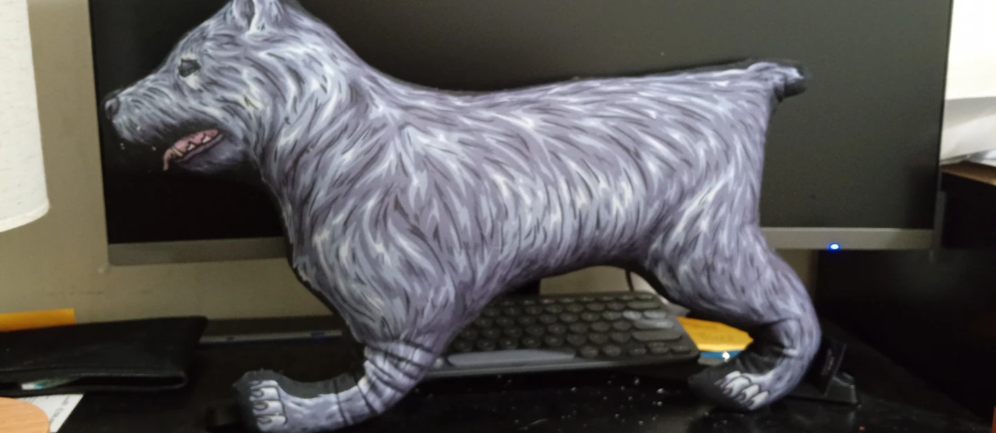 Stuffed pillow Dog with Anatomical Interior