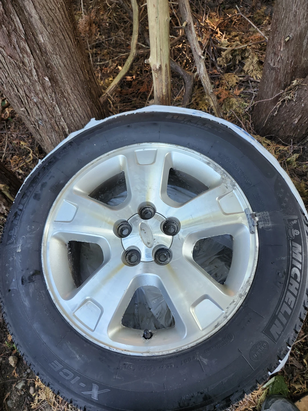 Winter tyres Michelin - photo 5