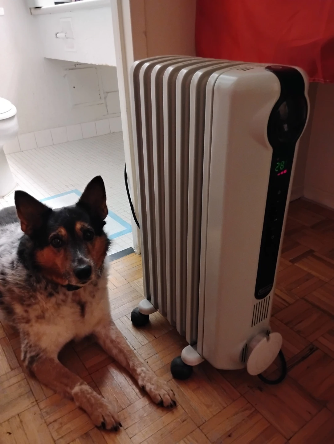 De'Longhi Radiator Heater /Fan - Like New - photo 3