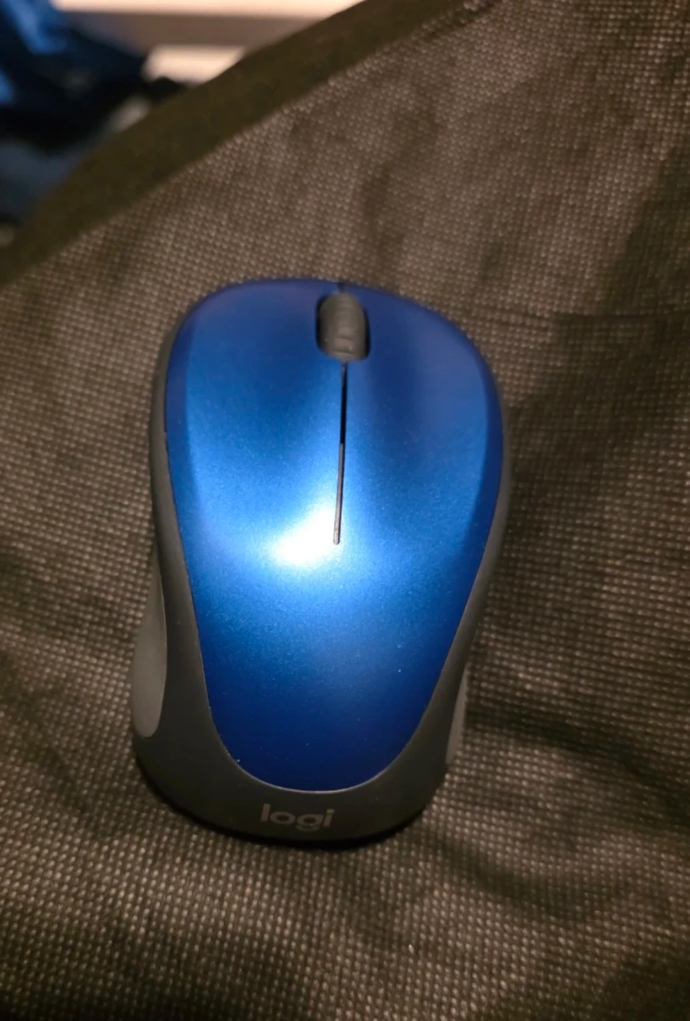 Logitech M317 Wireless Mouse - Blue