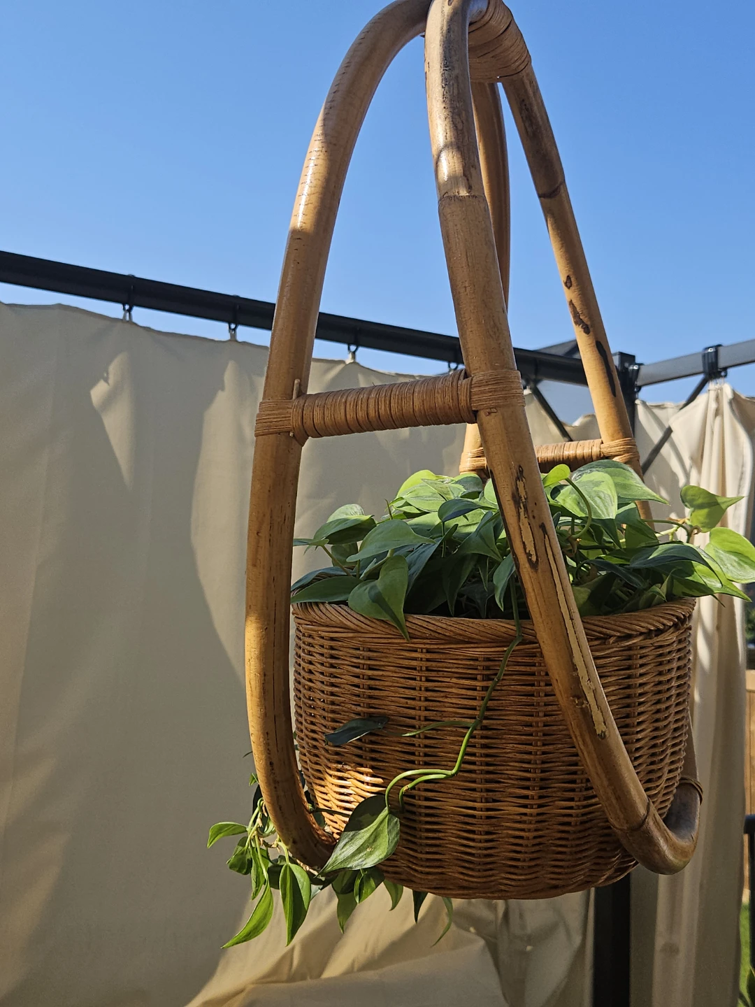 Rattan Hanging Plant Basket - photo 3