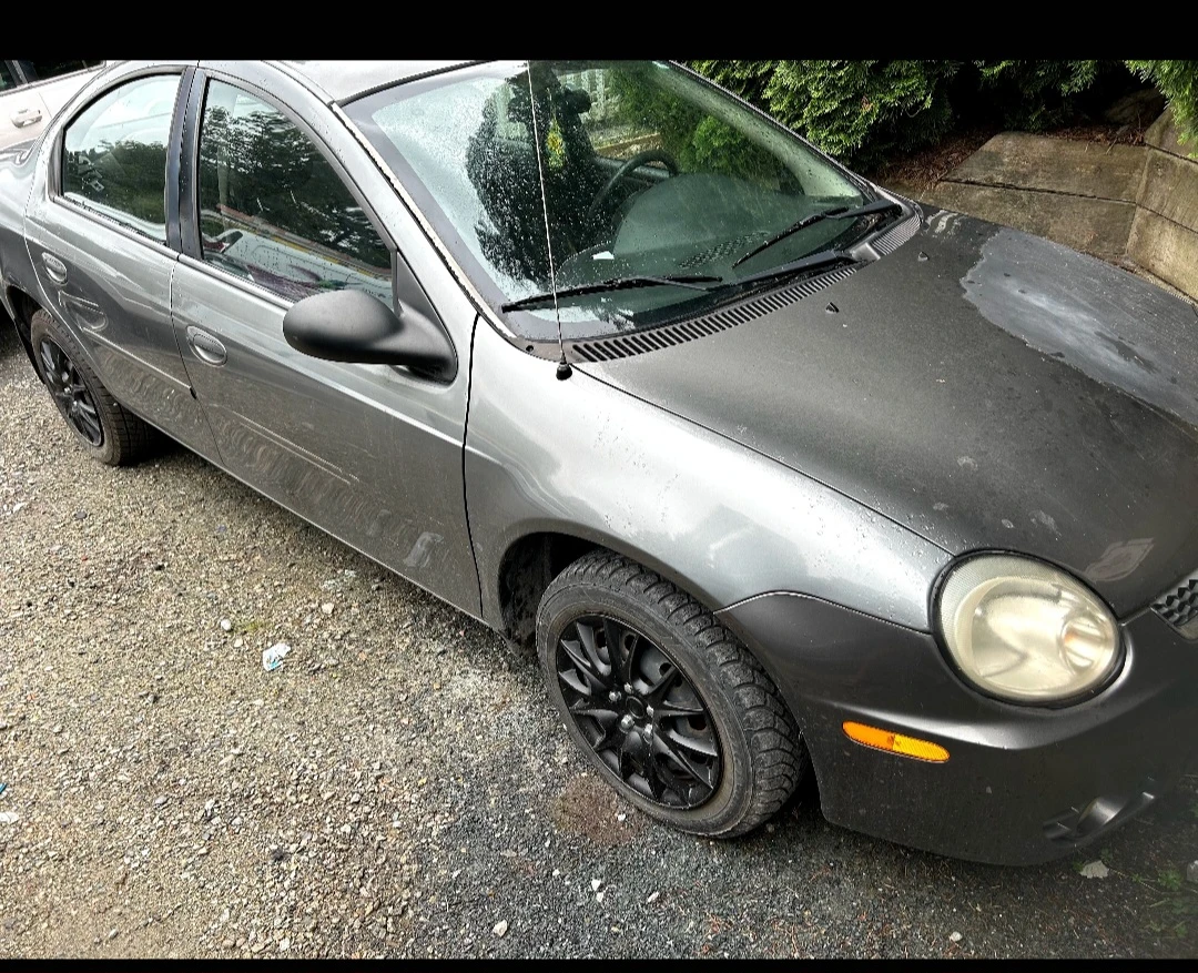 2005 Neon