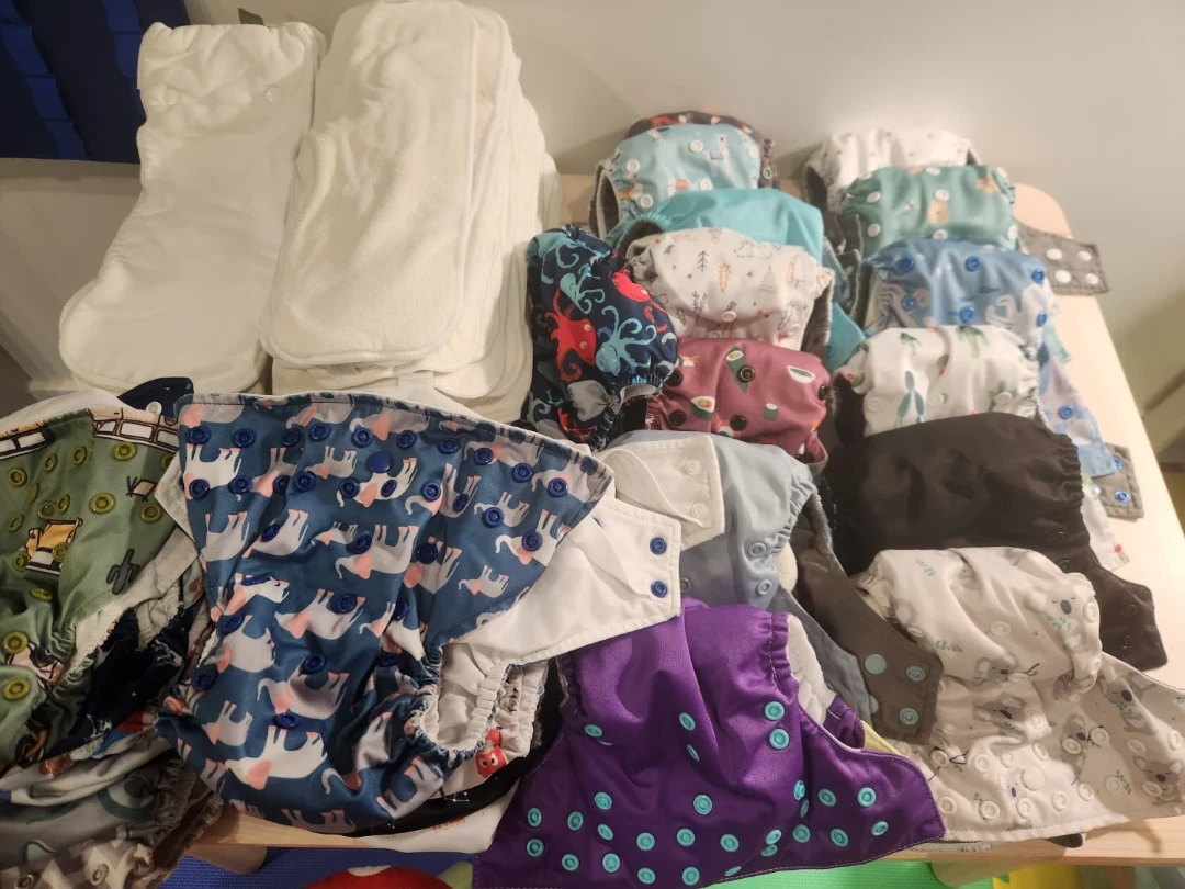 Cloth Diapers and Inserts