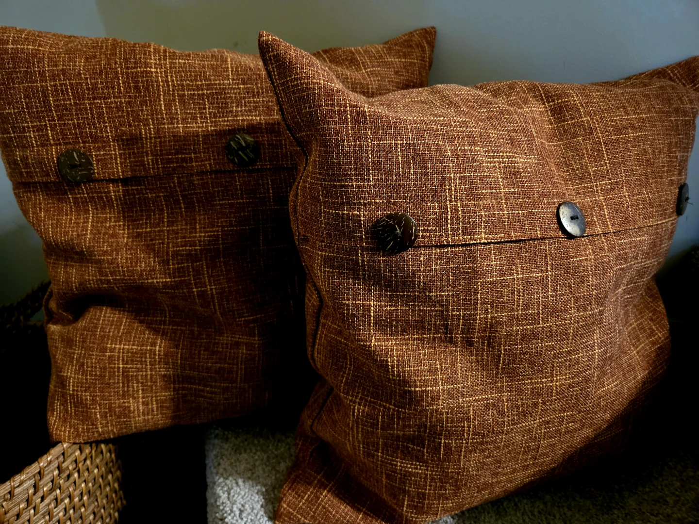 Decorative Throw Pillow Set