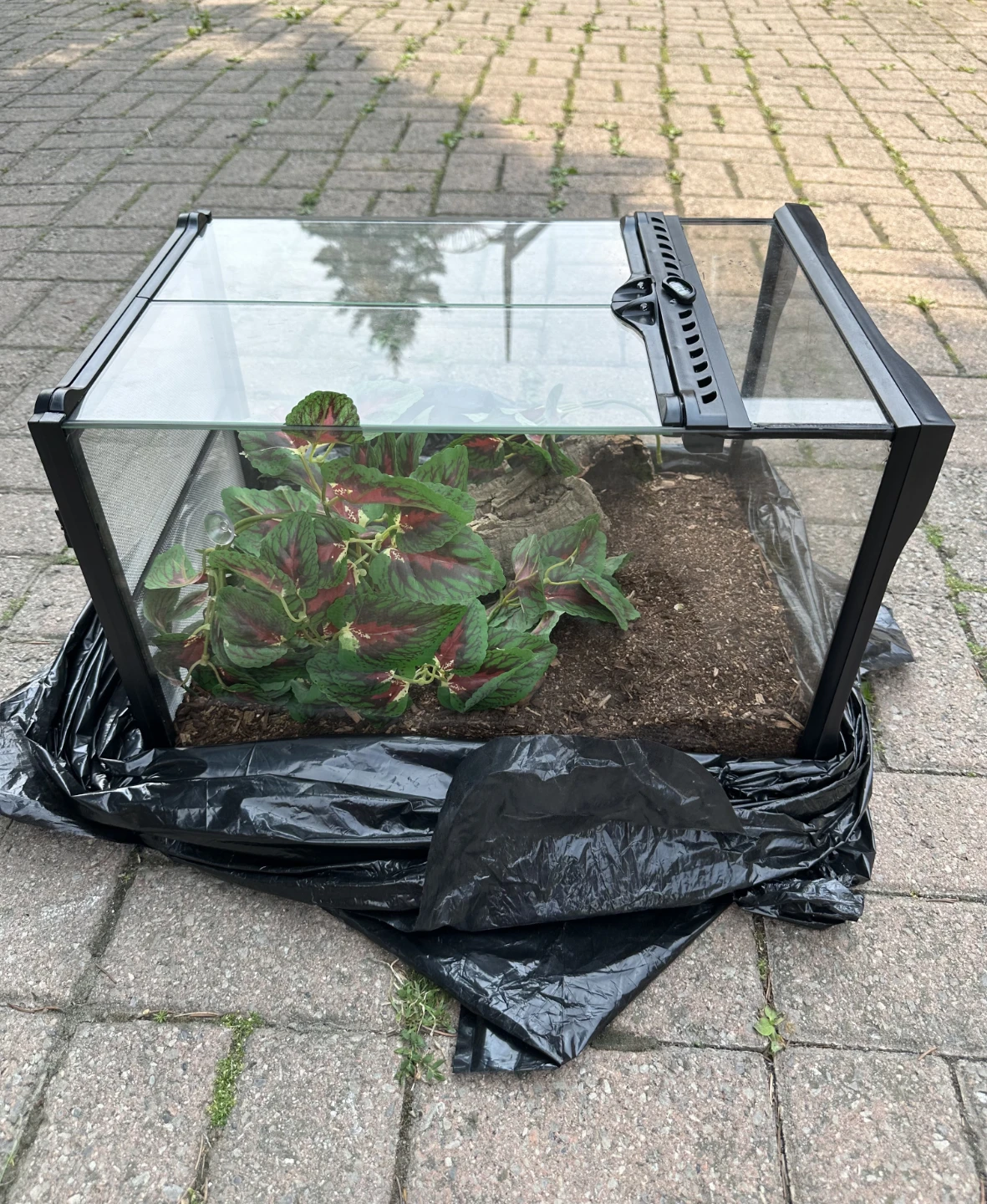Terrarium Tank with Front Opening Doors