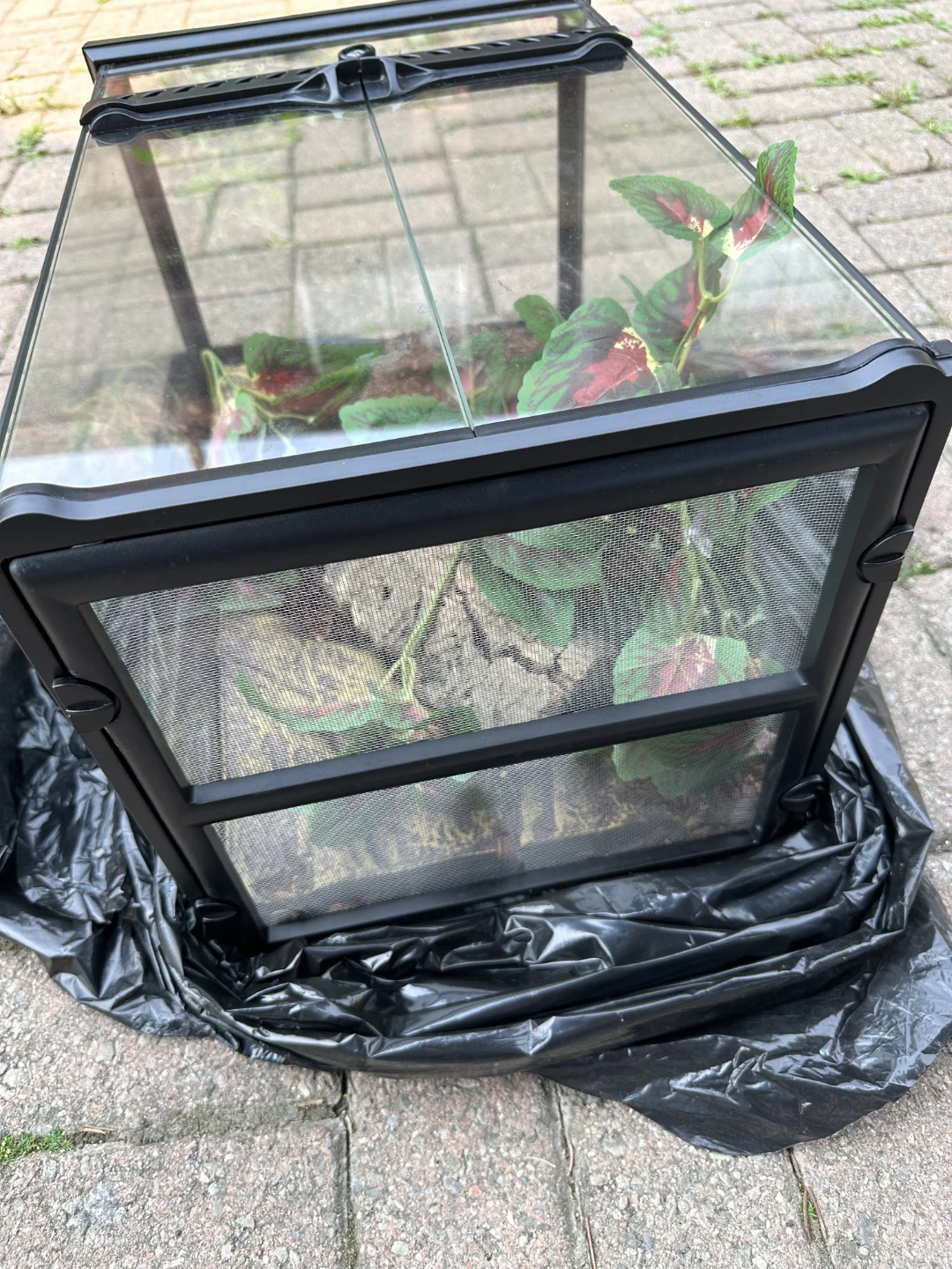 Terrarium Tank with Front Opening Doors - photo 2
