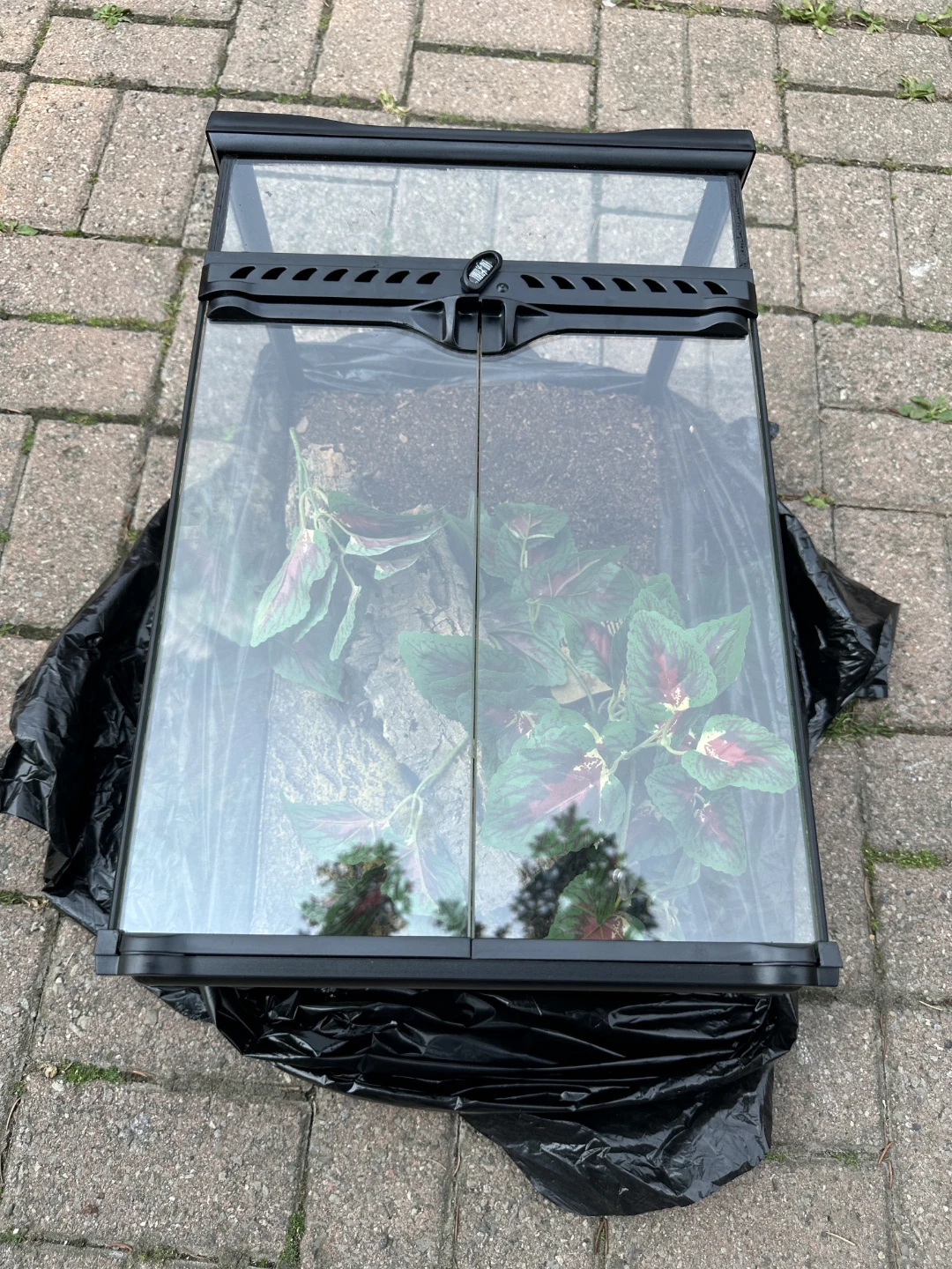 Terrarium Tank with Front Opening Doors - photo 3