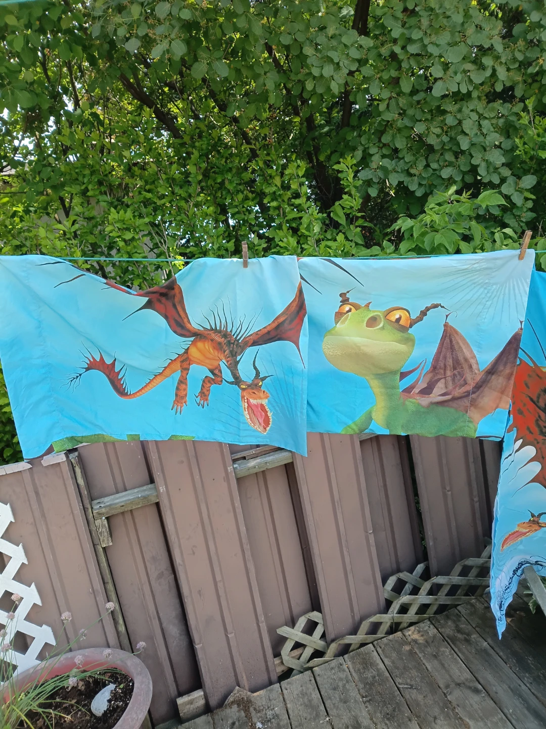 How to train your dragon - 2 curtain panels, 2 pillow cases
