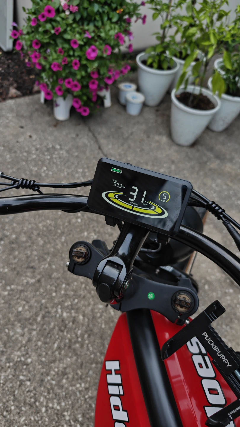 Hidoes Electric Bike