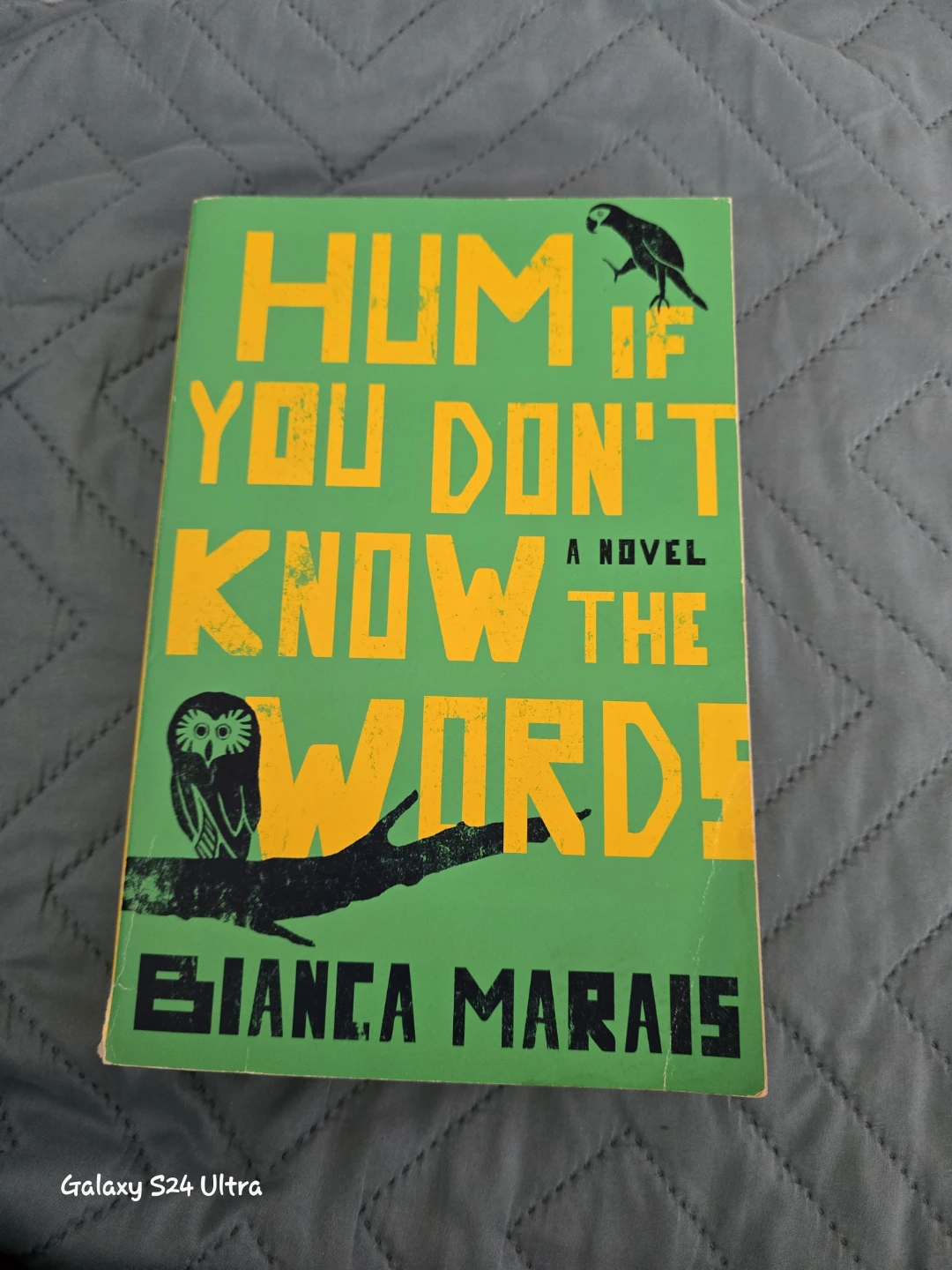 Hum If You Don't Know the Words Novel by Bianca Marais