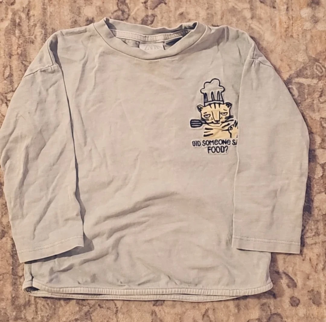 Zara Kids bundle Crewneck Sweatshirts/pants and tshirts. - photo 3