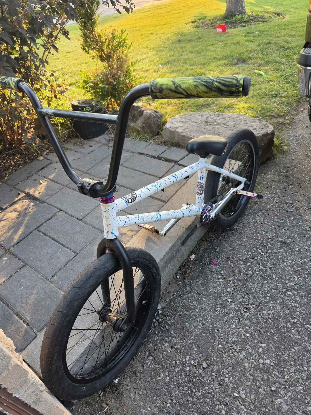 Custom haro bmx bike and custom radio darko bmx - photo 5