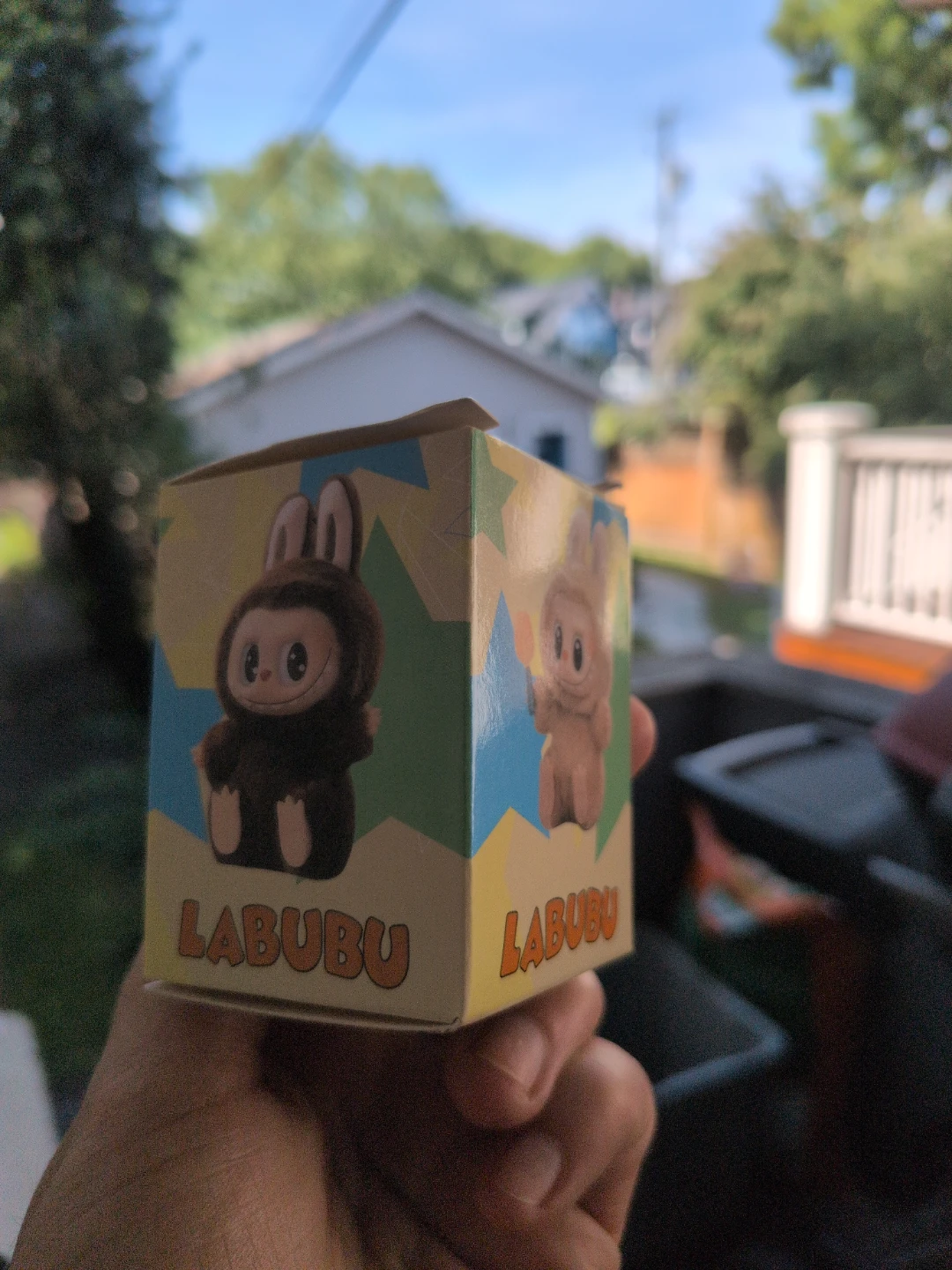 Labubu Blind Box Figure