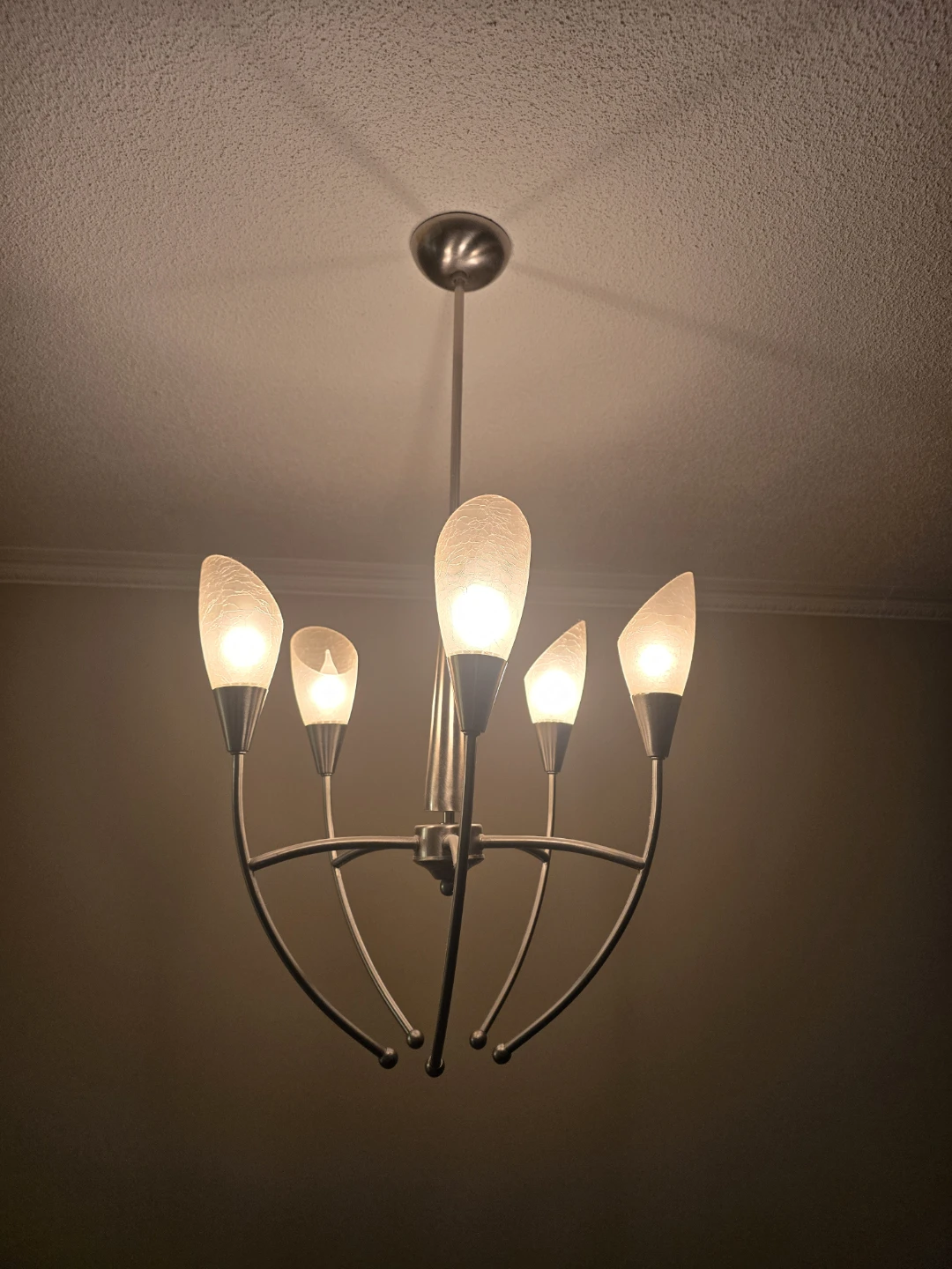 5-Light Chandelier