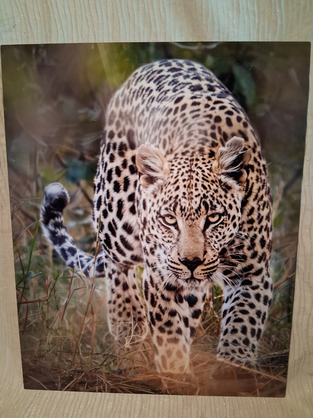 Leopard Wall Art Metal Print