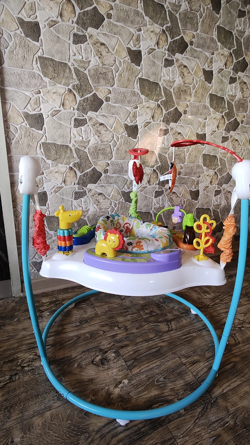 Fisher-Price Animal Activity Jumperoo - photo 2