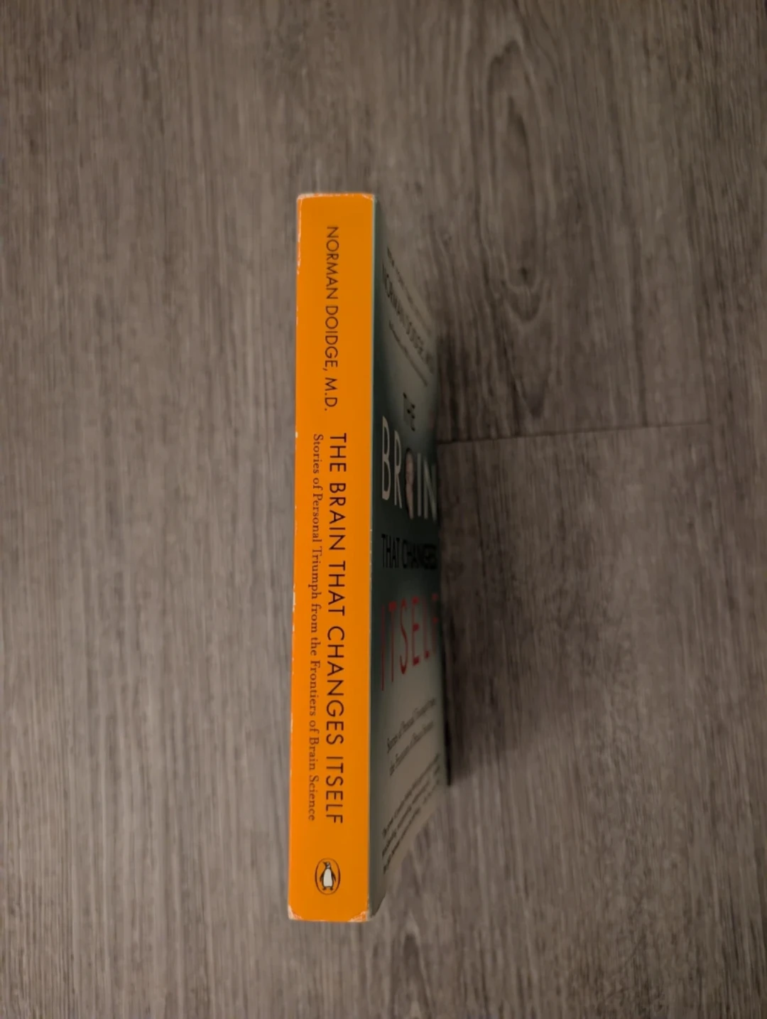 The Brain That Changes Itself by Norman Doidge, M.D. - photo 2