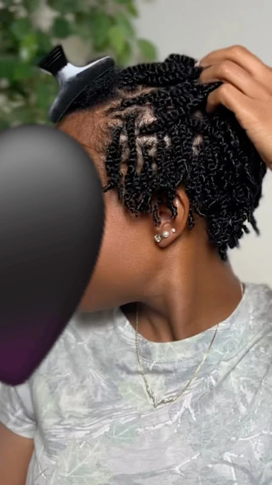 Braided Twists Hair Style - photo 2