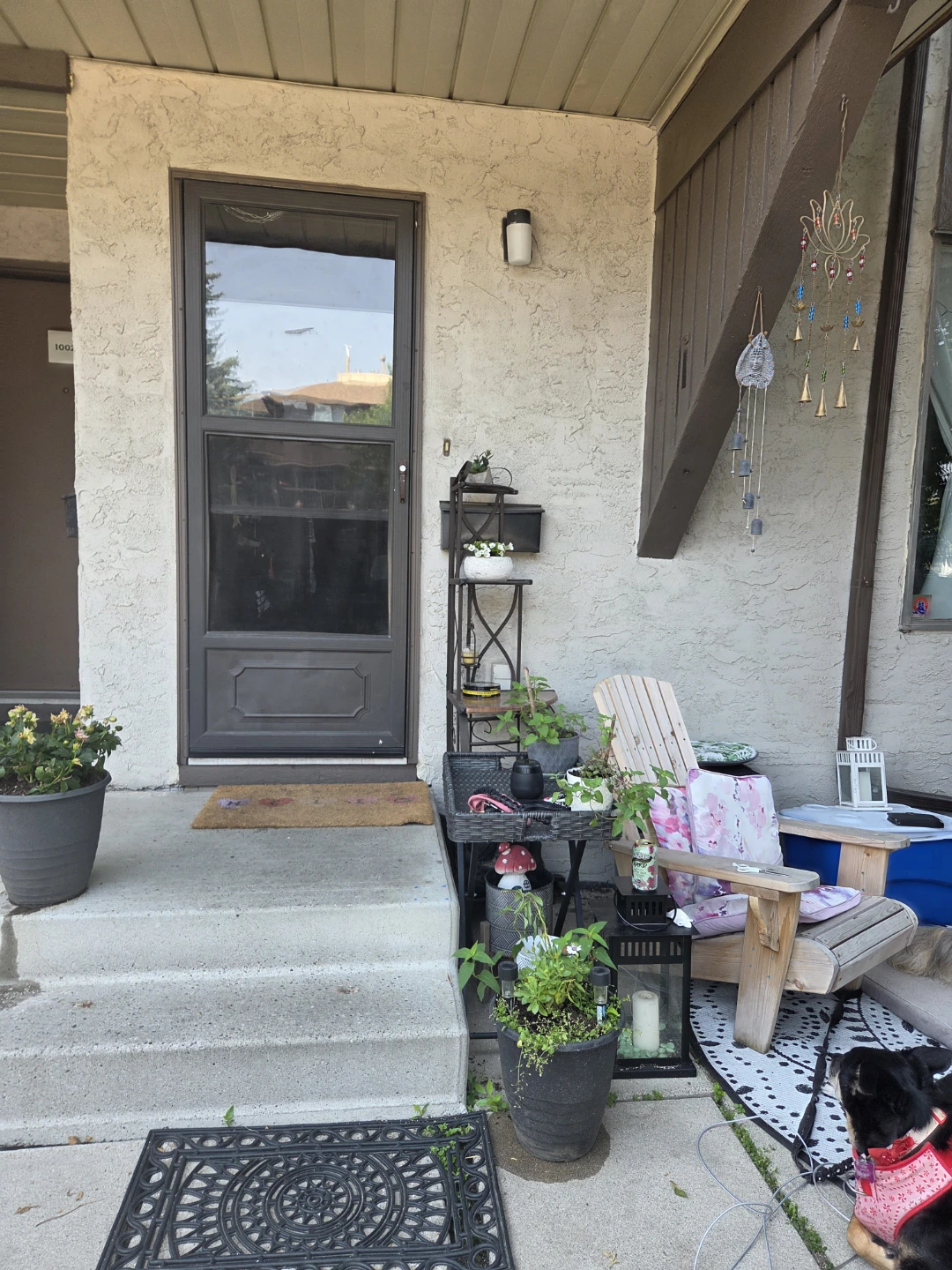 2bed 1bath pet friendly mainfloor apartment August 1st