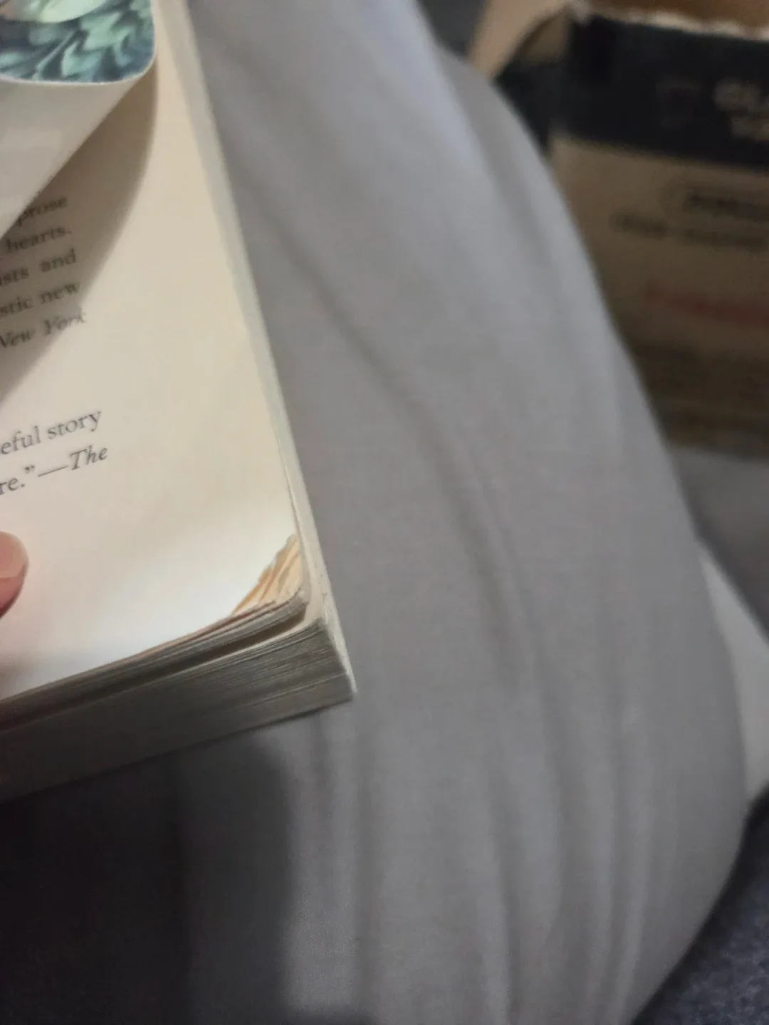 Delirium by Lauren Oliver - New York Times Bestseller - photo 4