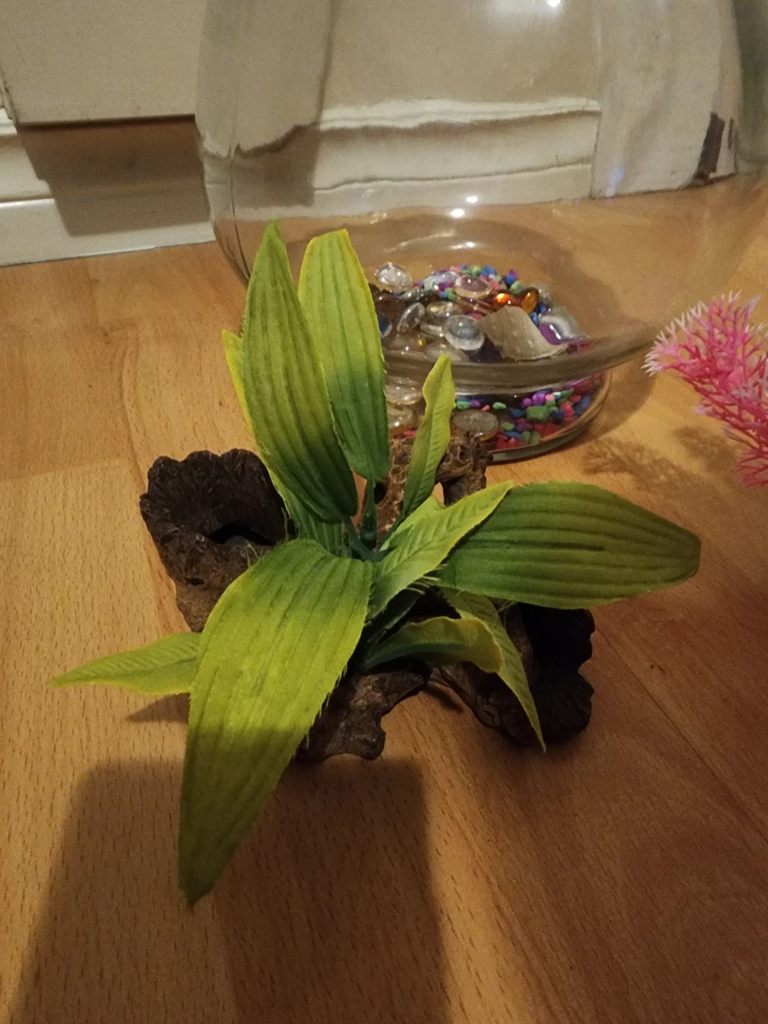 Fish tank bowl for sale - photo 2