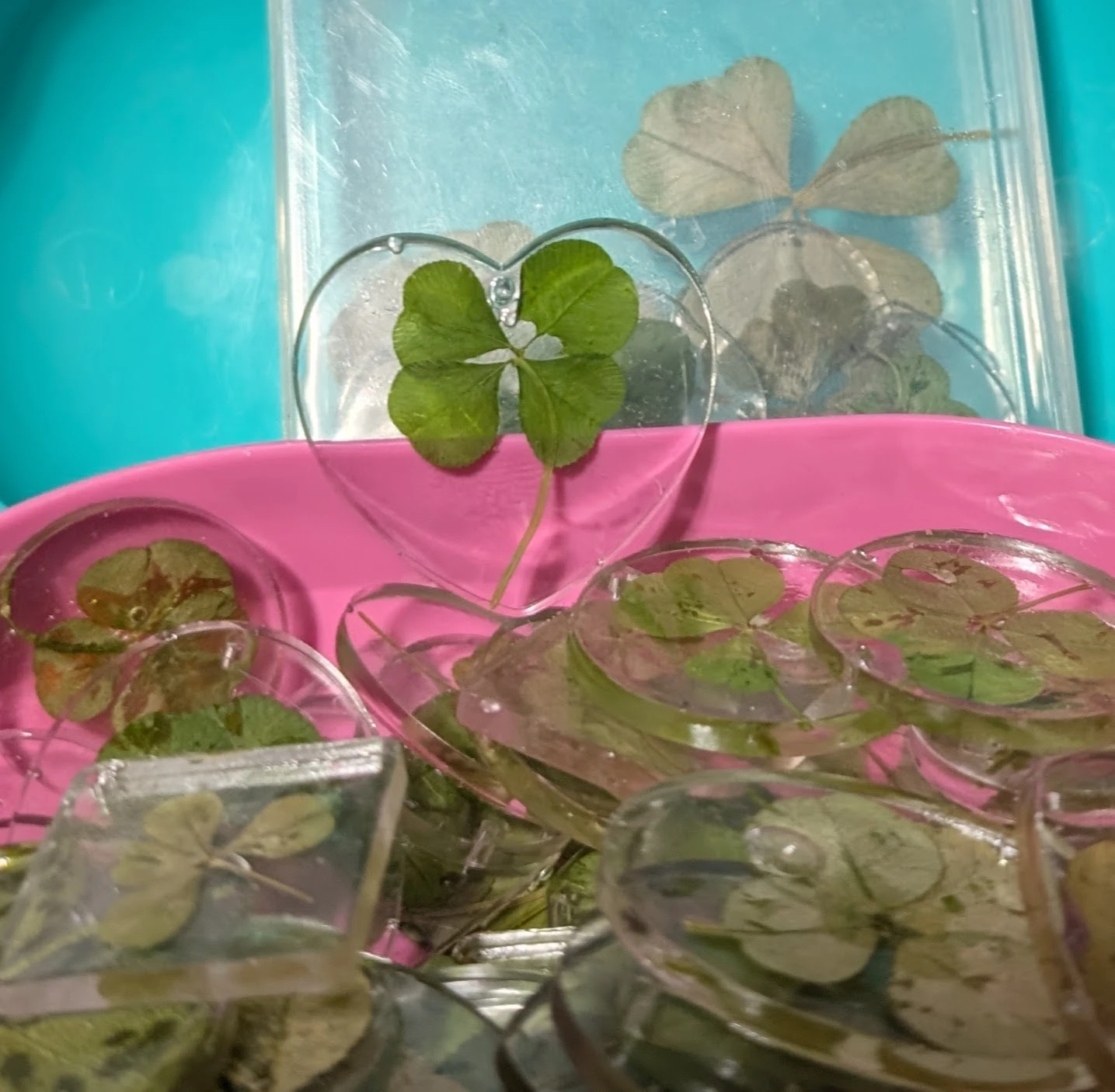 1 Real Four Leaf Clover Preserved in Resin Pendant