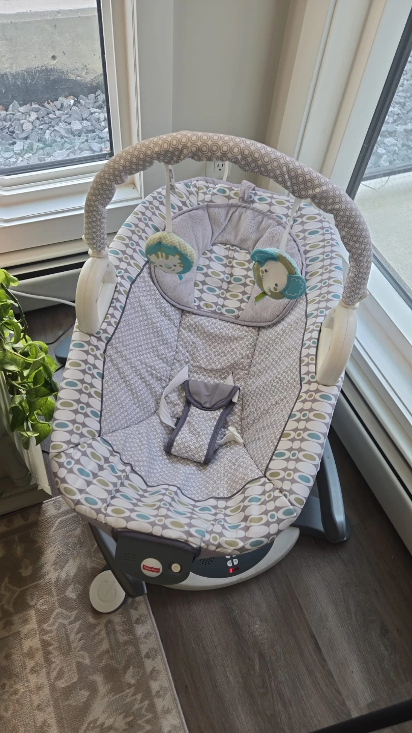 Fisher-Price Glide Soother Baby Chair – Gently Used