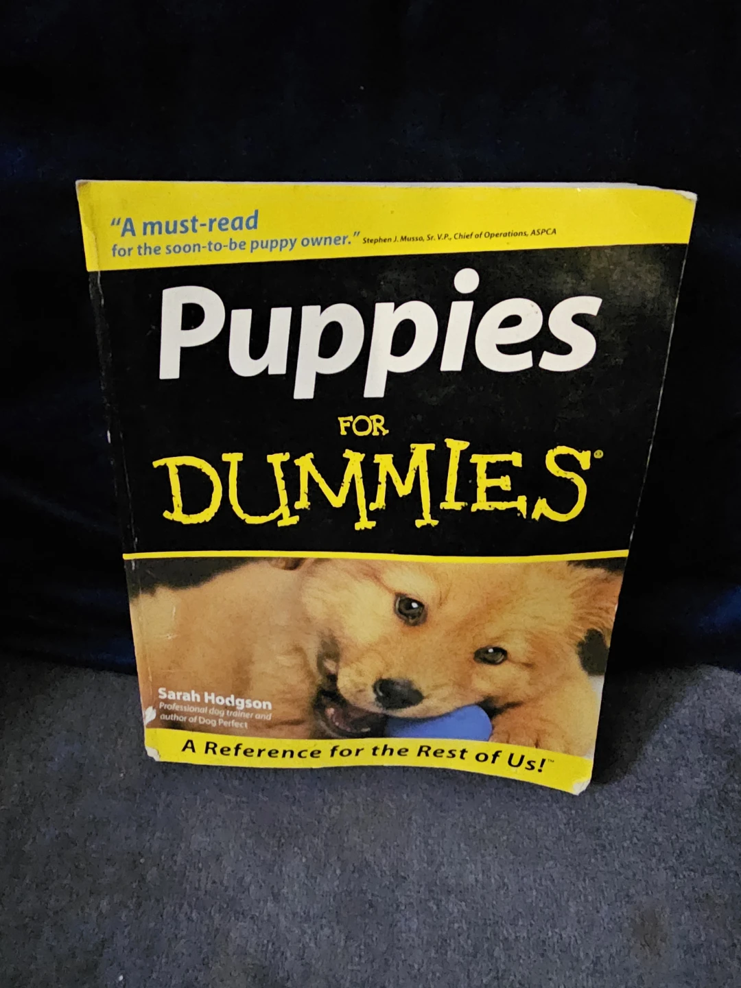 Puppies For Dummies Book