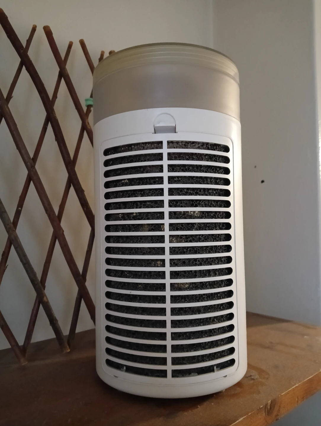 Manwa Portable Air Cooler/Fan - photo 3