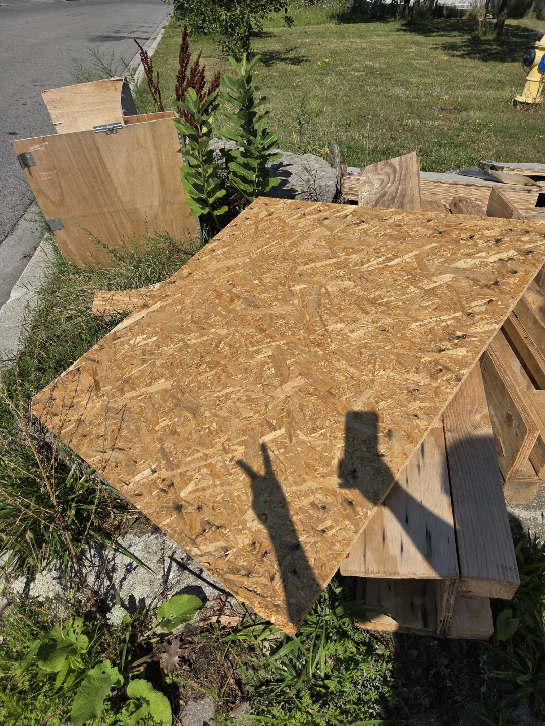 #freecycle  Cardboard and foam- Variety of Sizes - photo 5