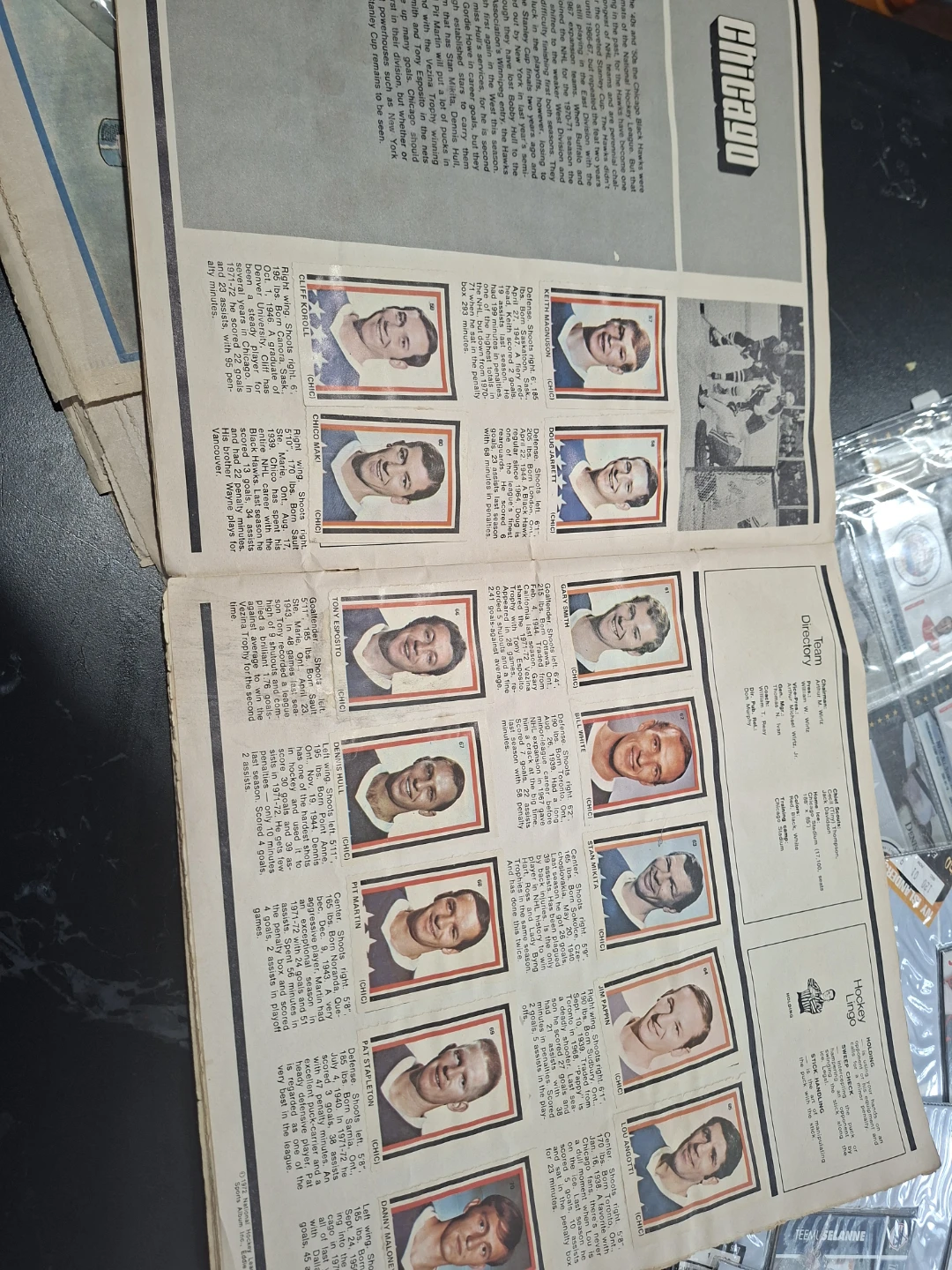 This is the 1973 NHL Players Photo Stamp Album - photo 3