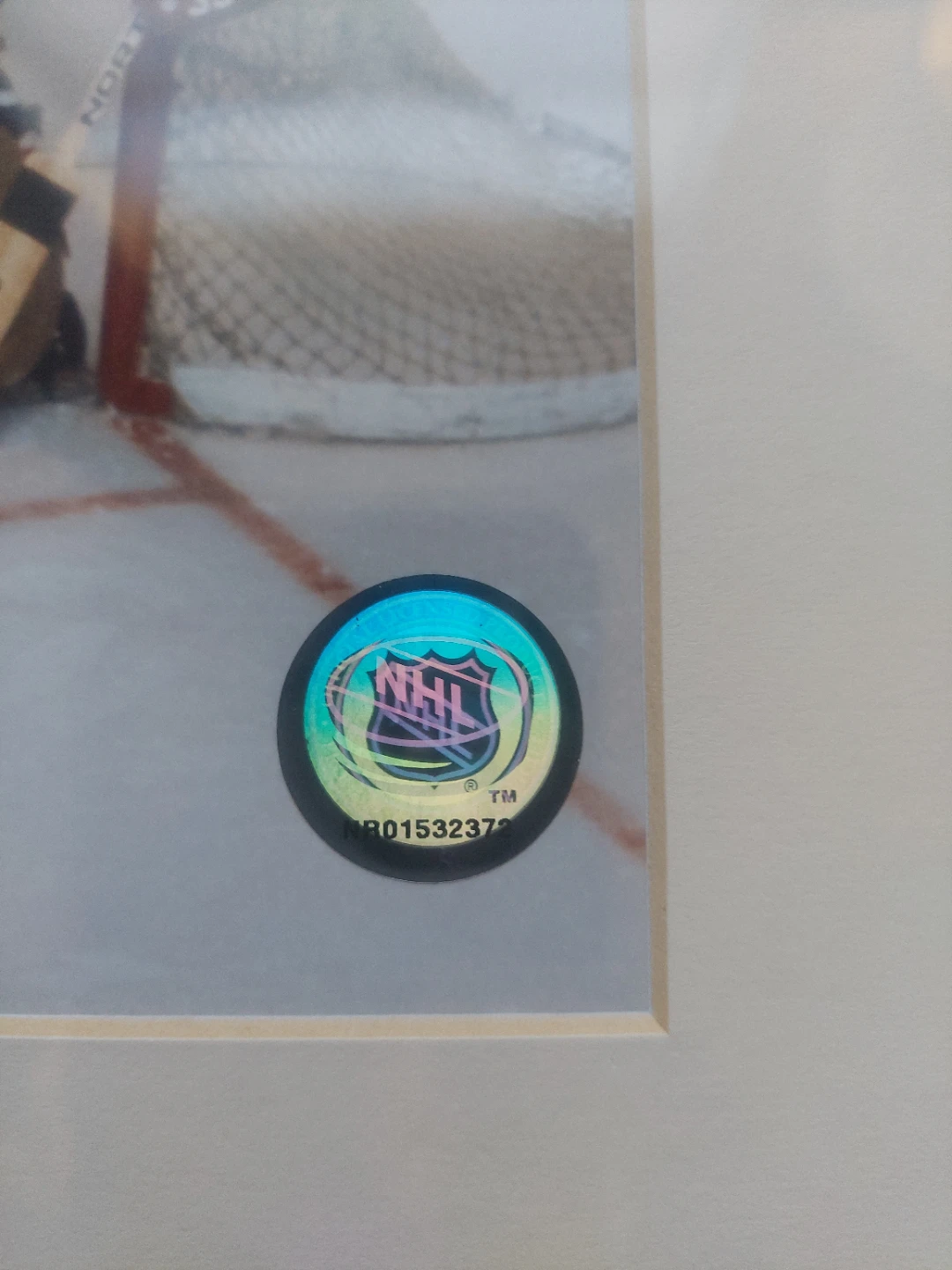 Framed Chicago Blackhawks Hockey Print - photo 4
