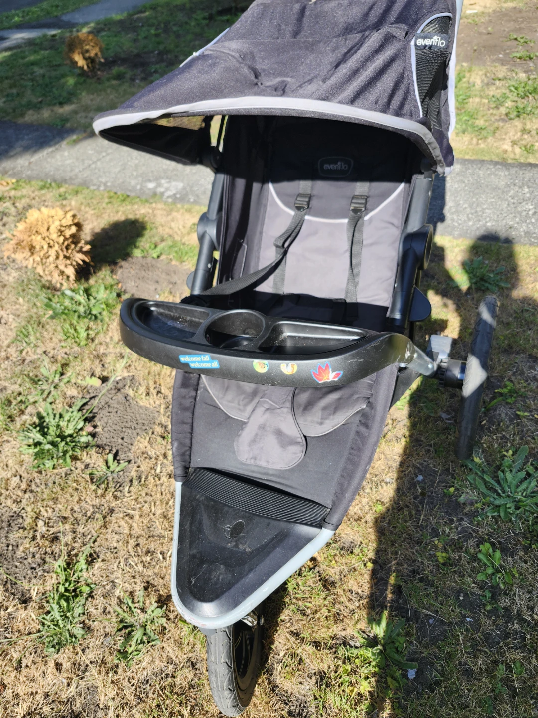 Evenflo All-Terrain Jogging Stroller - photo 3