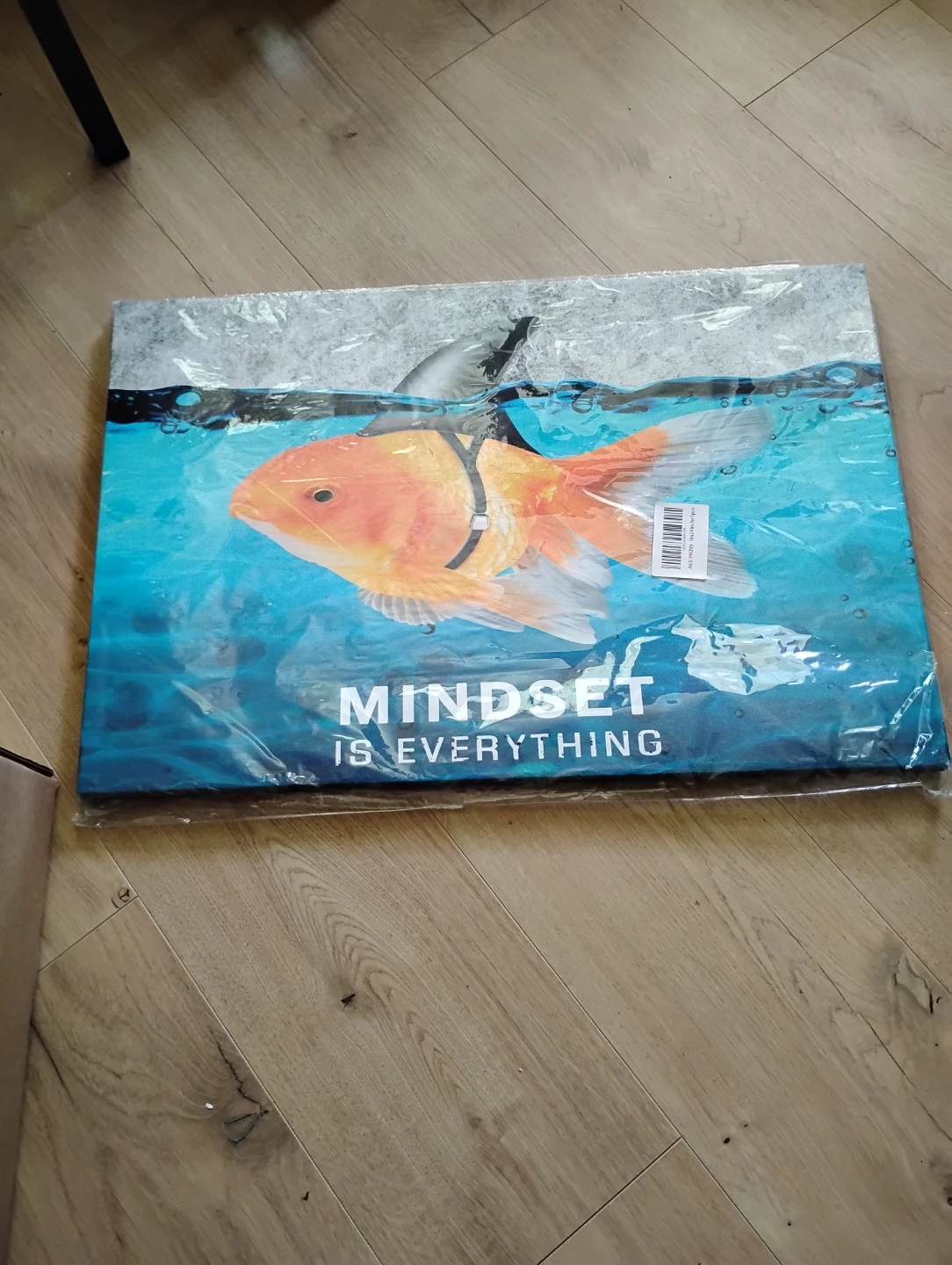 Canvas Wall Art Mindset is Everything Goldfish Shark