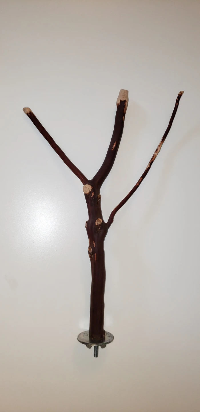 Natural Wood Bird Perch Stand