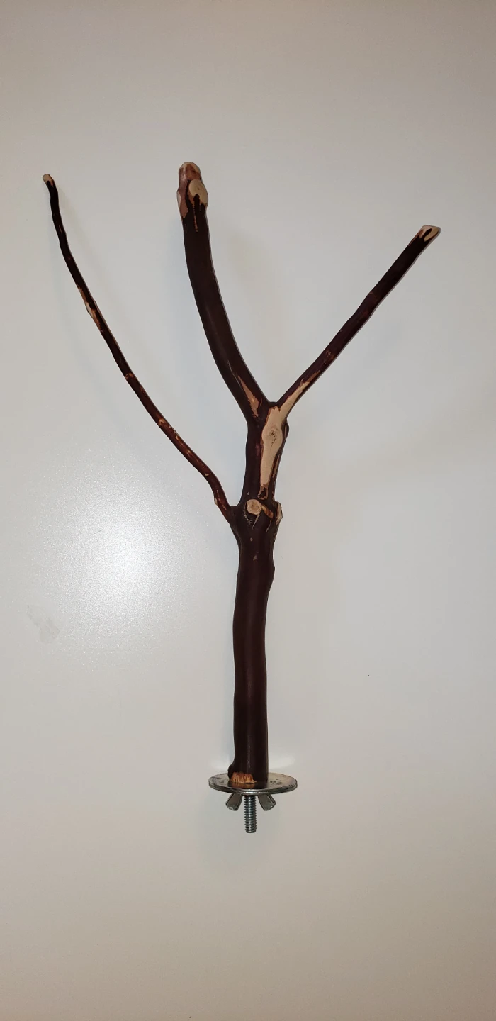 Natural Wood Bird Perch Stand - photo 2
