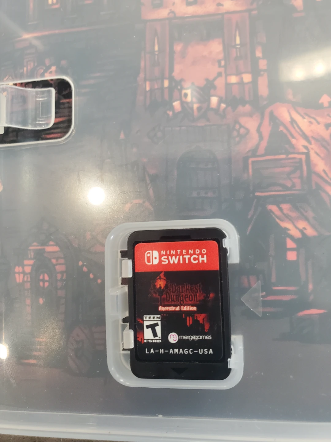 Darkest Dungeon Ancestral Edition Nintendo Switch Game - photo 3