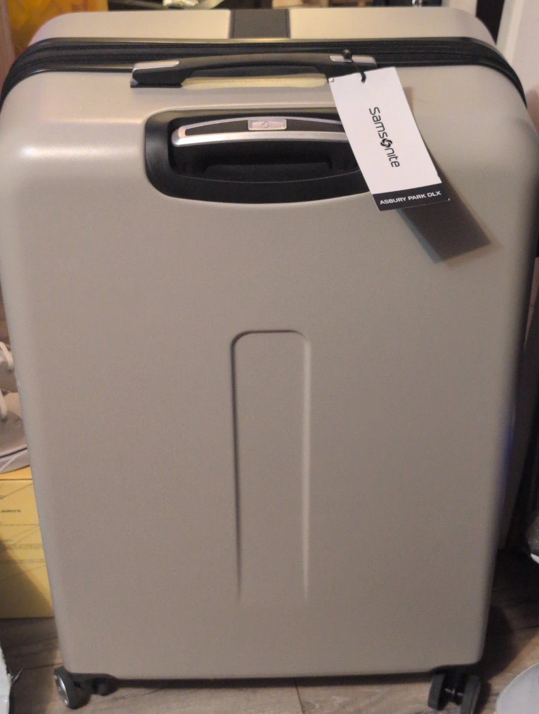 Samsonite Asbury Park DLX Luggage